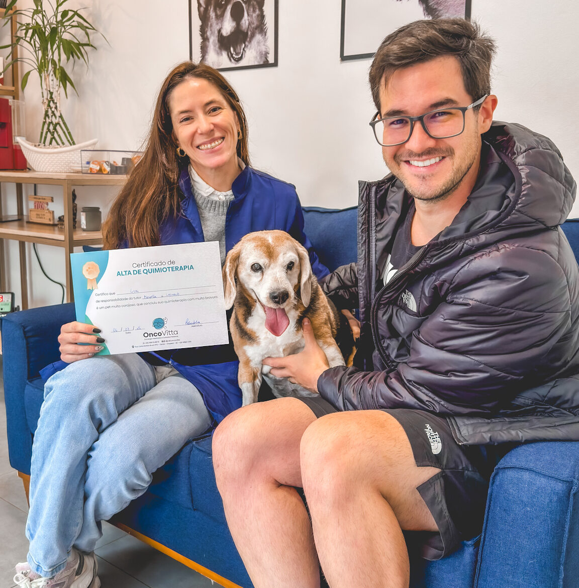 quimioterapia em pets